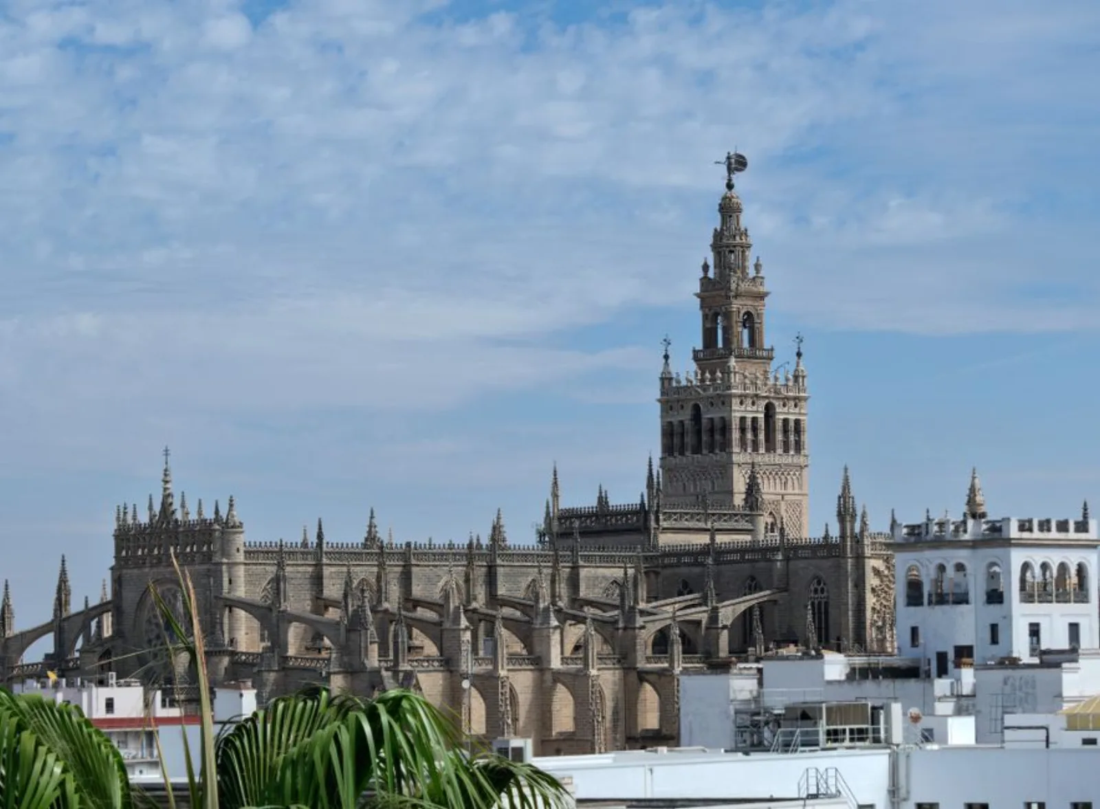 Estudiante colombiano recien llegado a una ciudad universitaria de España