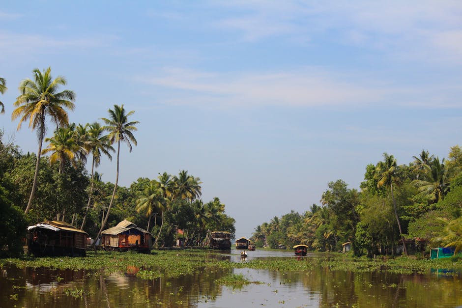 Backwaters Kerala — eSIM et connexion 4G