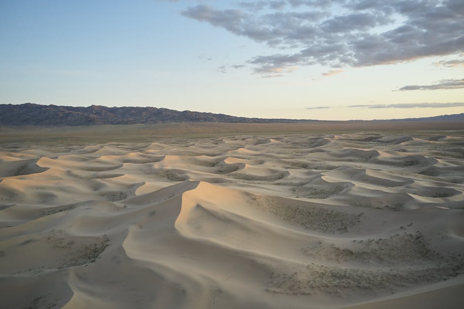 Dunes Gobi Mongolie Khongoryn Els — eSIM et signal dans le désert