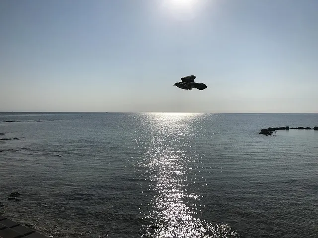 Bahamas